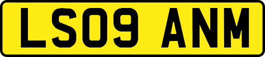 LS09ANM