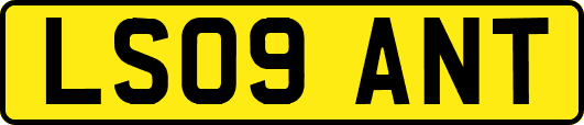 LS09ANT