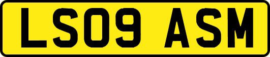 LS09ASM