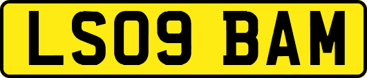 LS09BAM