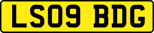 LS09BDG