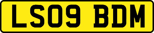 LS09BDM