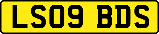 LS09BDS