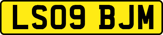 LS09BJM