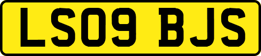 LS09BJS