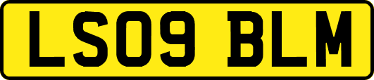 LS09BLM