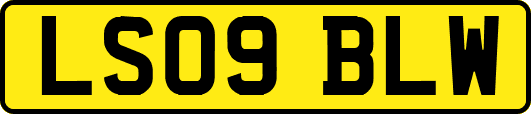 LS09BLW