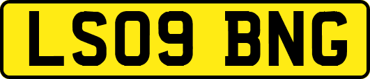 LS09BNG