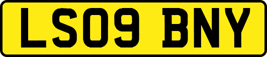 LS09BNY