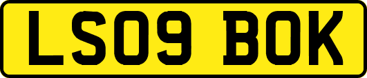 LS09BOK