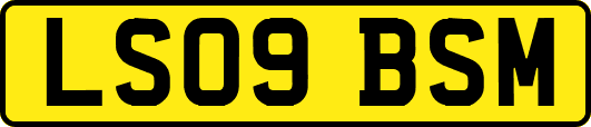 LS09BSM