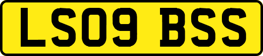 LS09BSS