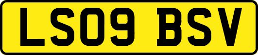 LS09BSV