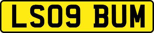 LS09BUM
