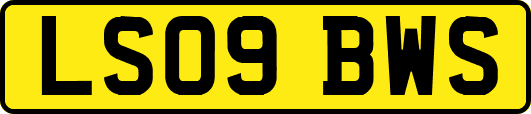 LS09BWS
