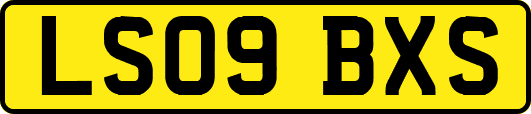 LS09BXS