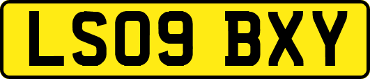 LS09BXY