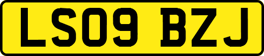 LS09BZJ