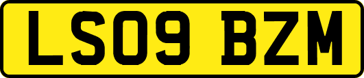 LS09BZM