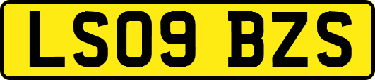 LS09BZS