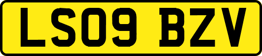 LS09BZV