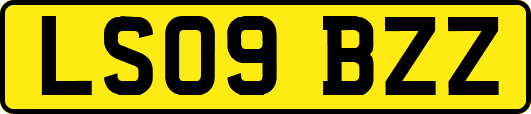 LS09BZZ