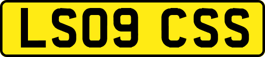 LS09CSS
