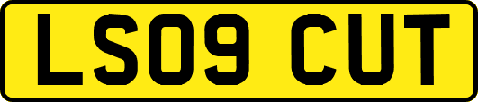 LS09CUT