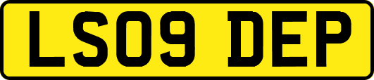 LS09DEP