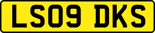 LS09DKS