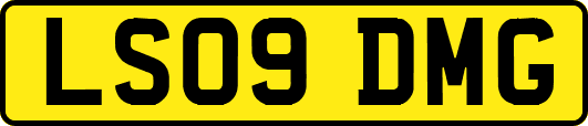 LS09DMG