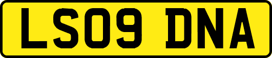 LS09DNA