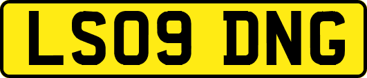 LS09DNG