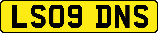 LS09DNS
