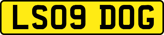 LS09DOG