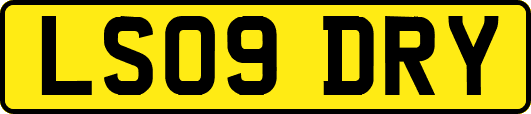 LS09DRY