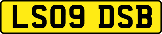 LS09DSB
