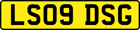 LS09DSG