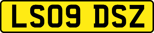 LS09DSZ