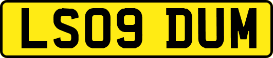 LS09DUM