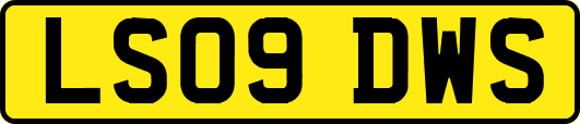LS09DWS