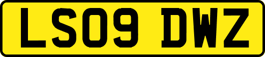 LS09DWZ