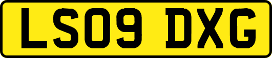 LS09DXG