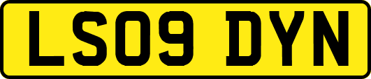 LS09DYN