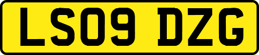 LS09DZG