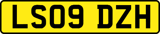 LS09DZH