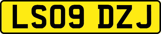 LS09DZJ