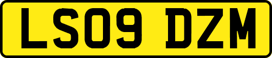 LS09DZM