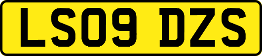 LS09DZS