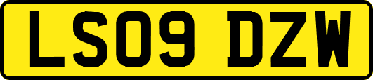 LS09DZW